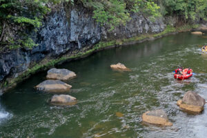 Port Douglas Daintree Tours