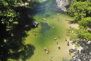 Overnight Daintree / Cape Tribulation Tour