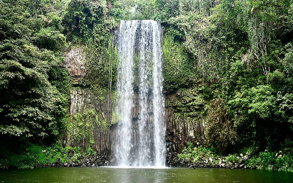 Cairns Waterfall Tour